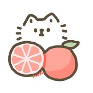 西柚XTC