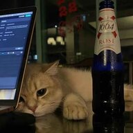 小猫仔