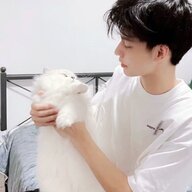 木昜不是易