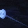 高画质月亮和星空  2K Moon + 2K Starfield