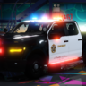[ELS]福特F150(LASD&LSSD)