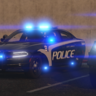 LSPD车包
